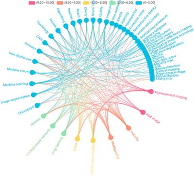 A comprehensive review on acquisition of phenotypic information of Prunoideae fruits: Image technology
